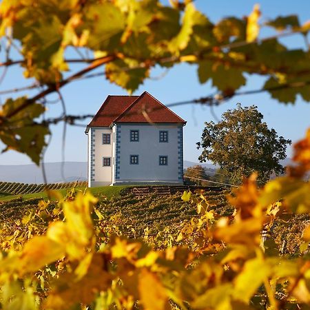 Appartamento Wine Grower'S Mansion Zlati Gric Slovenske Konjice Esterno foto