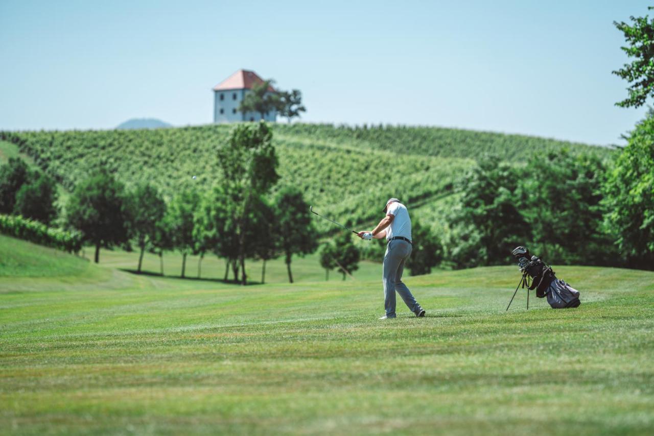 Appartamento Wine Grower'S Mansion Zlati Gric Slovenske Konjice Esterno foto