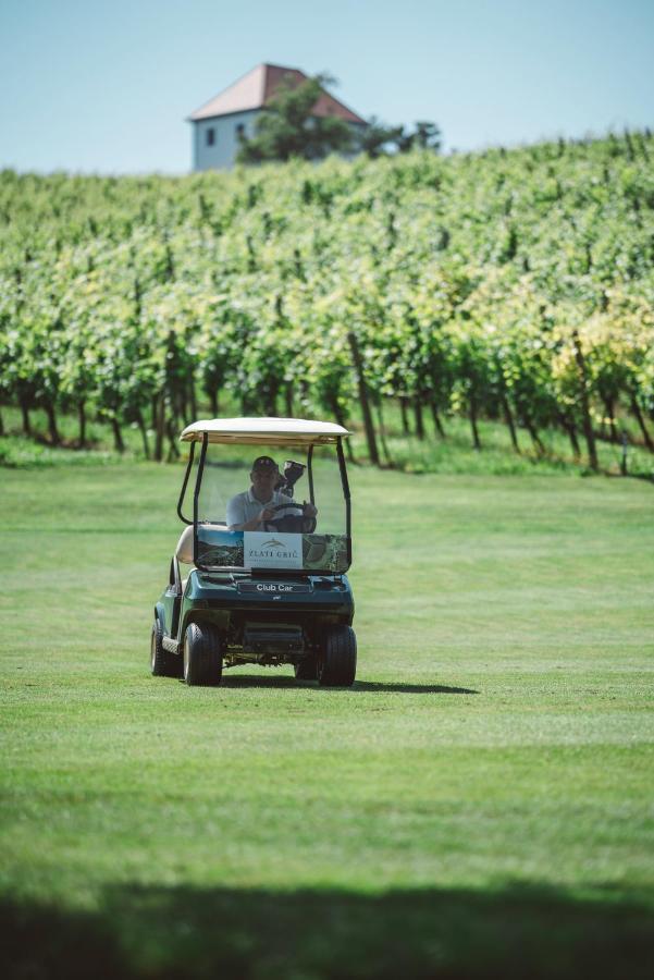 Appartamento Wine Grower'S Mansion Zlati Gric Slovenske Konjice Esterno foto