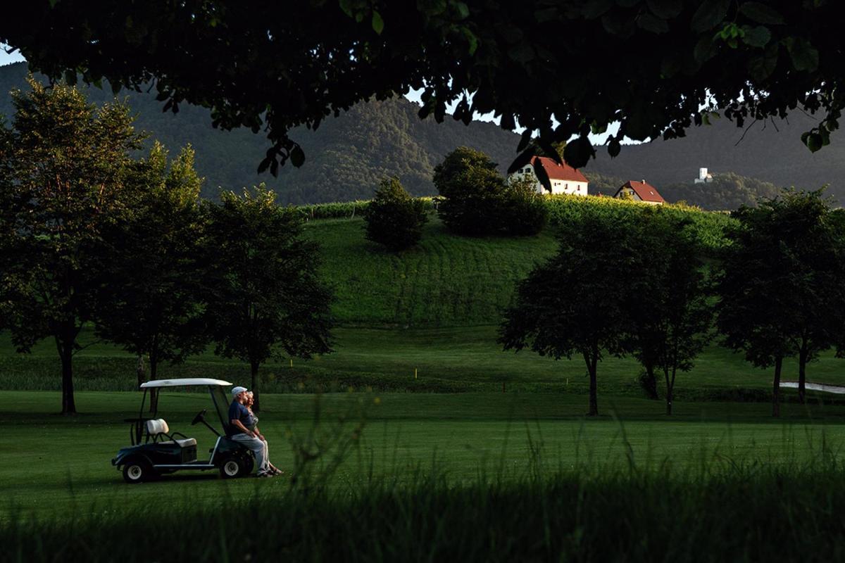 Appartamento Wine Grower'S Mansion Zlati Gric Slovenske Konjice Esterno foto