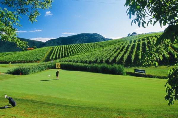 Appartamento Wine Grower'S Mansion Zlati Gric Slovenske Konjice Esterno foto