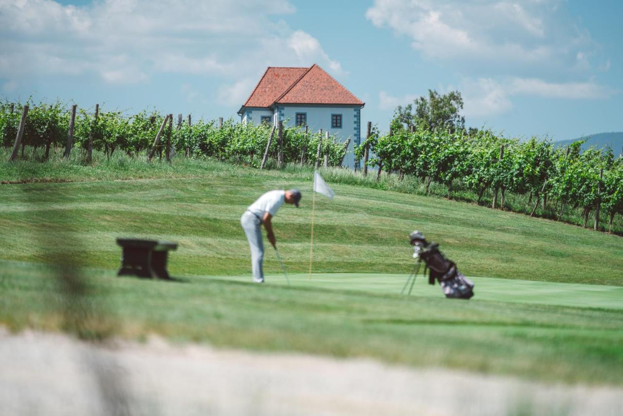 Appartamento Wine Grower'S Mansion Zlati Gric Slovenske Konjice Esterno foto