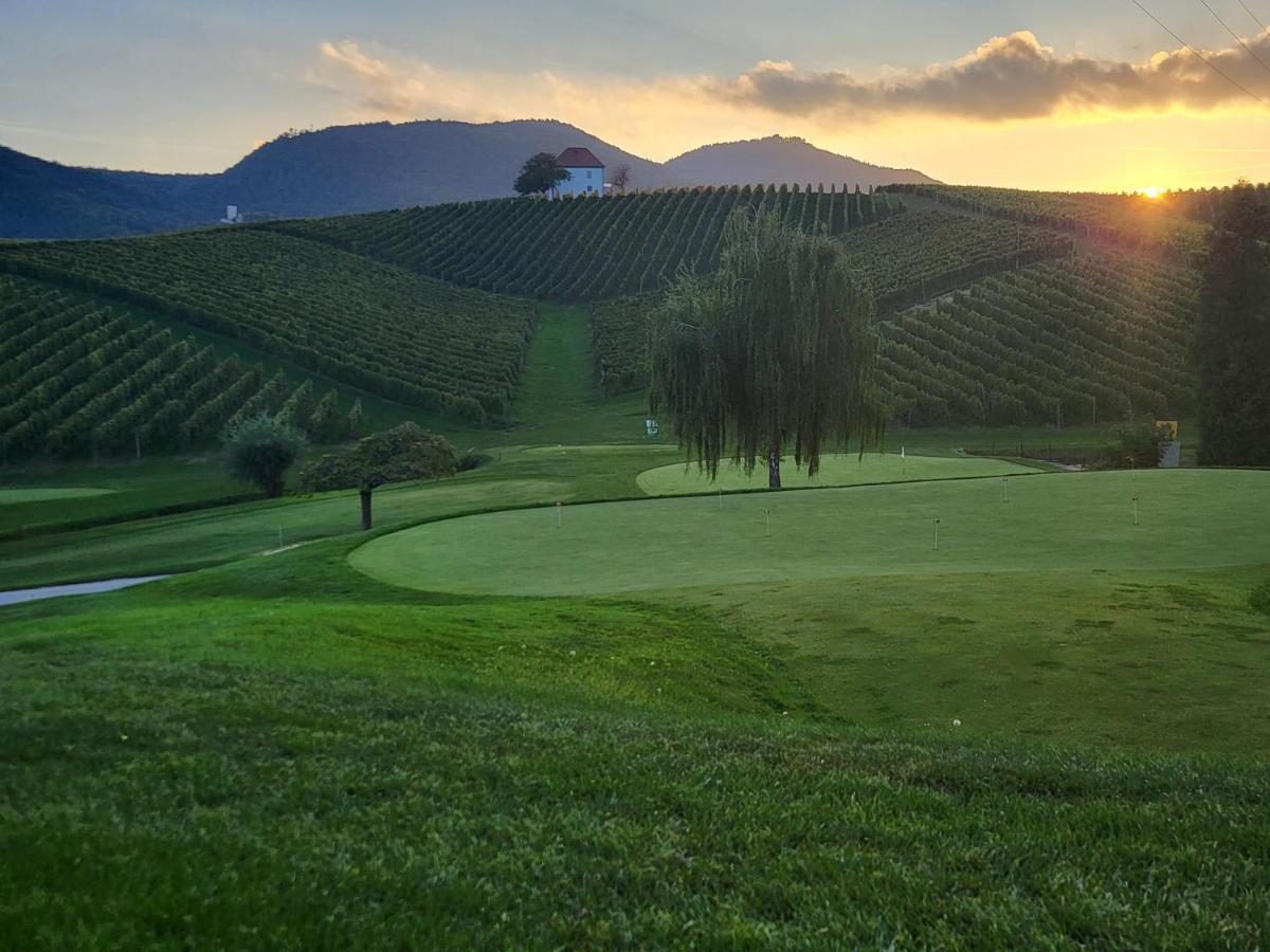 Appartamento Wine Grower'S Mansion Zlati Gric Slovenske Konjice Esterno foto