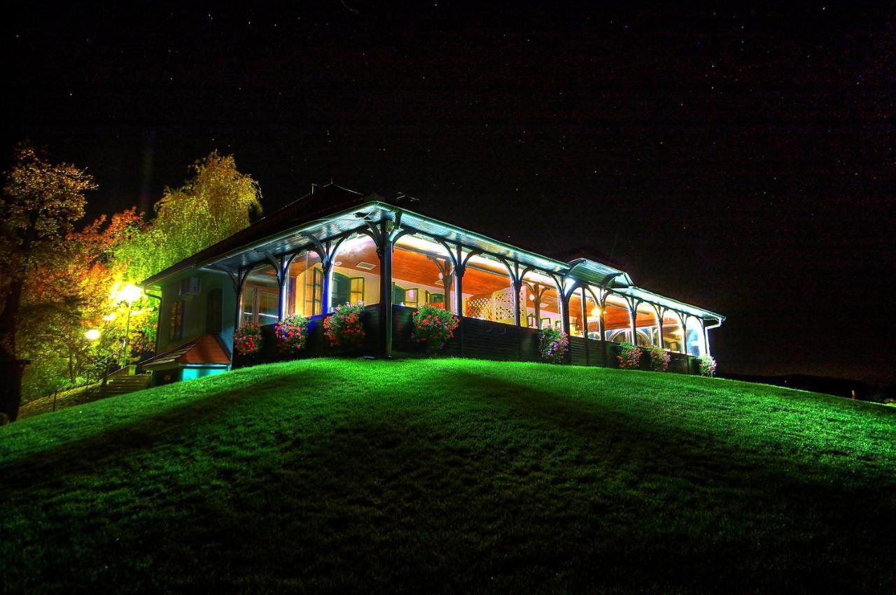 Appartamento Wine Grower'S Mansion Zlati Gric Slovenske Konjice Esterno foto