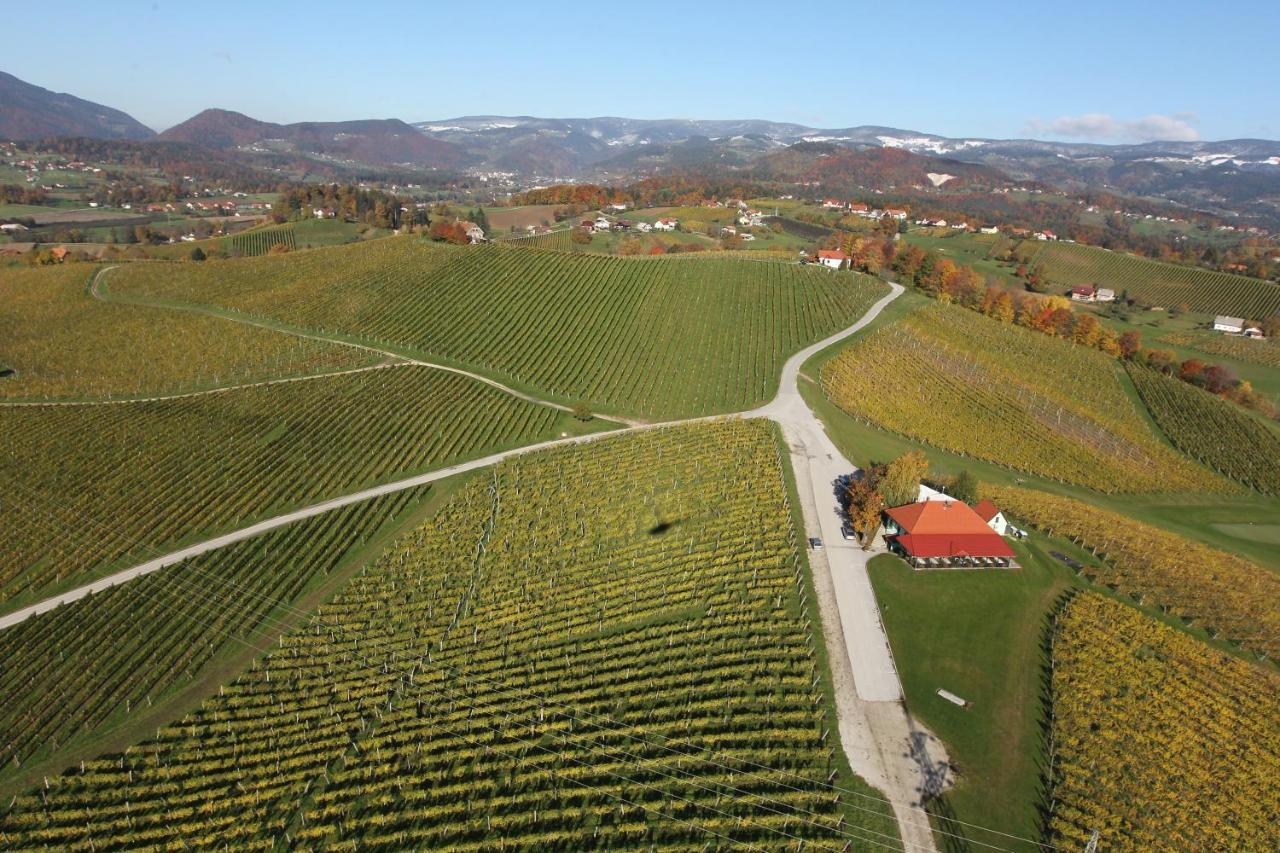 Appartamento Wine Grower'S Mansion Zlati Gric Slovenske Konjice Esterno foto