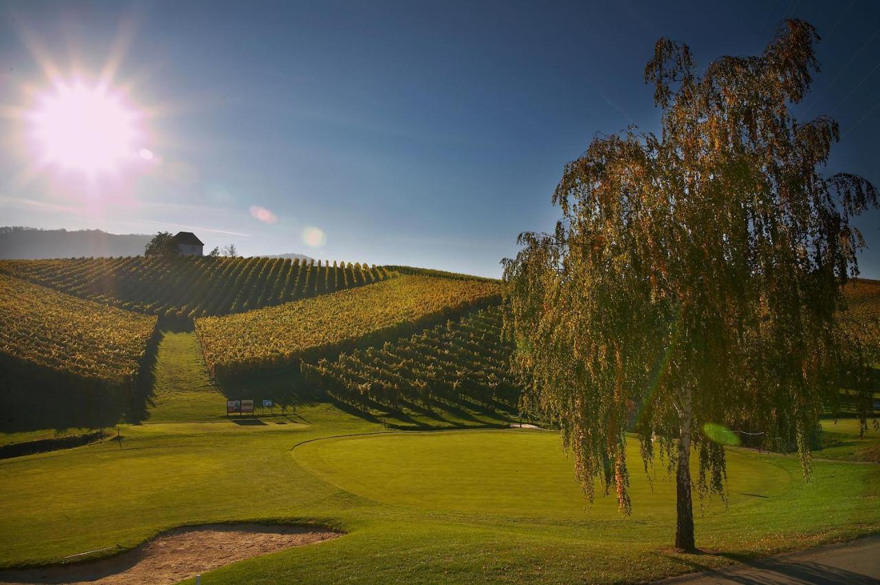 Appartamento Wine Grower'S Mansion Zlati Gric Slovenske Konjice Esterno foto