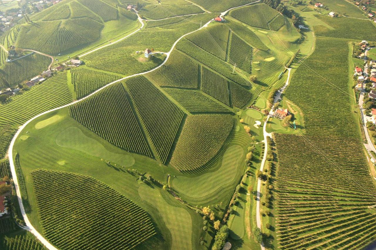 Appartamento Wine Grower'S Mansion Zlati Gric Slovenske Konjice Esterno foto