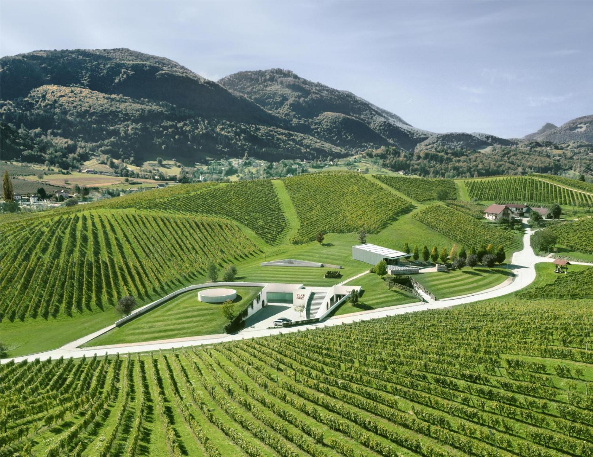 Appartamento Wine Grower'S Mansion Zlati Gric Slovenske Konjice Esterno foto
