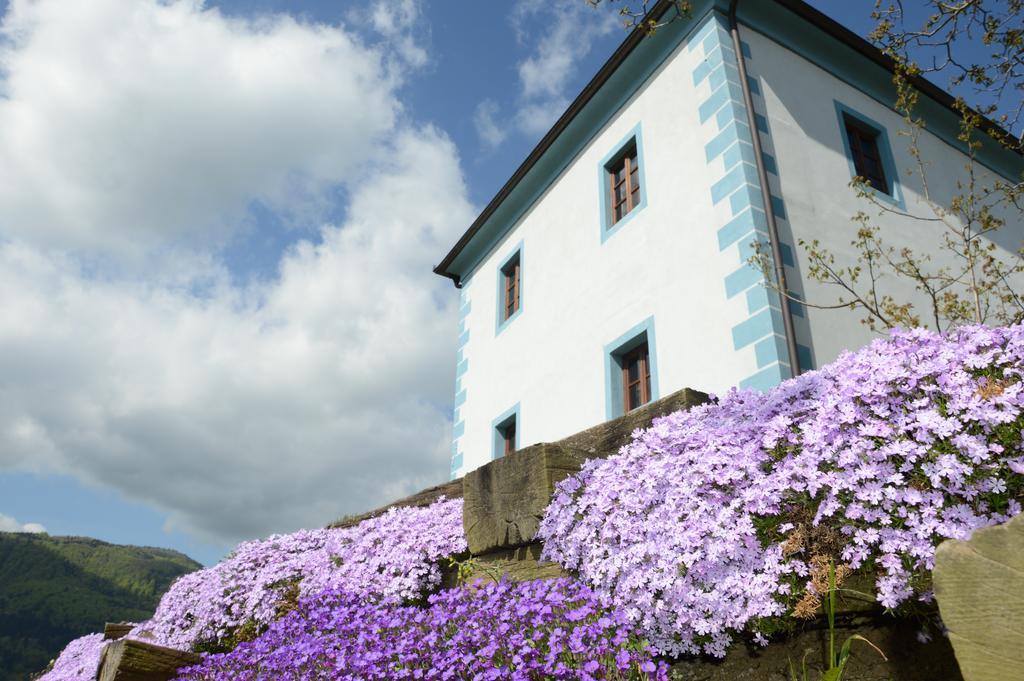 Appartamento Wine Grower'S Mansion Zlati Gric Slovenske Konjice Esterno foto