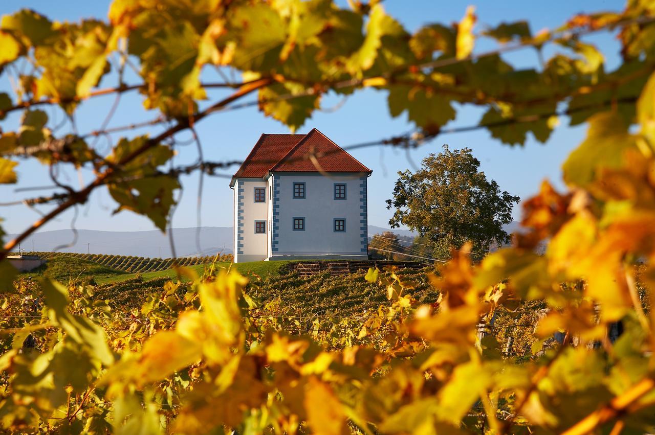 Appartamento Wine Grower'S Mansion Zlati Gric Slovenske Konjice Esterno foto