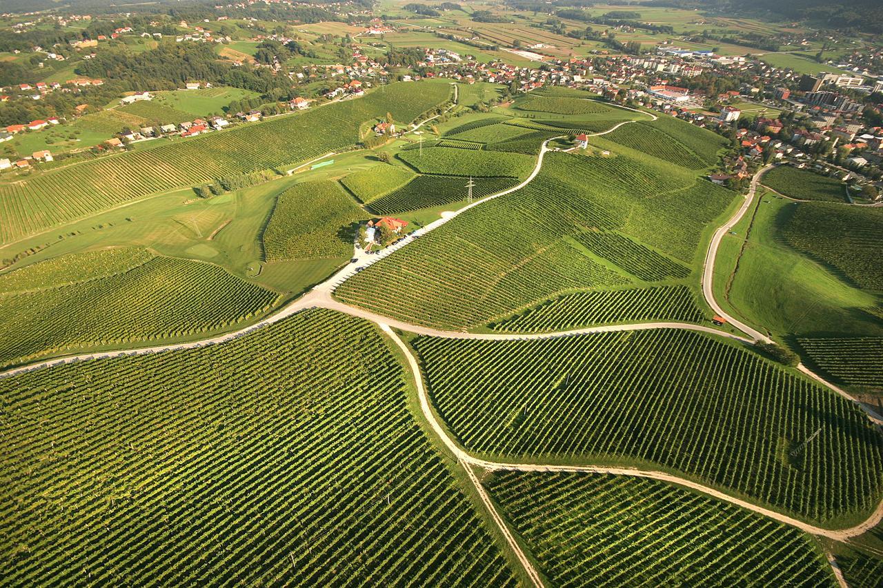 Appartamento Wine Grower'S Mansion Zlati Gric Slovenske Konjice Esterno foto