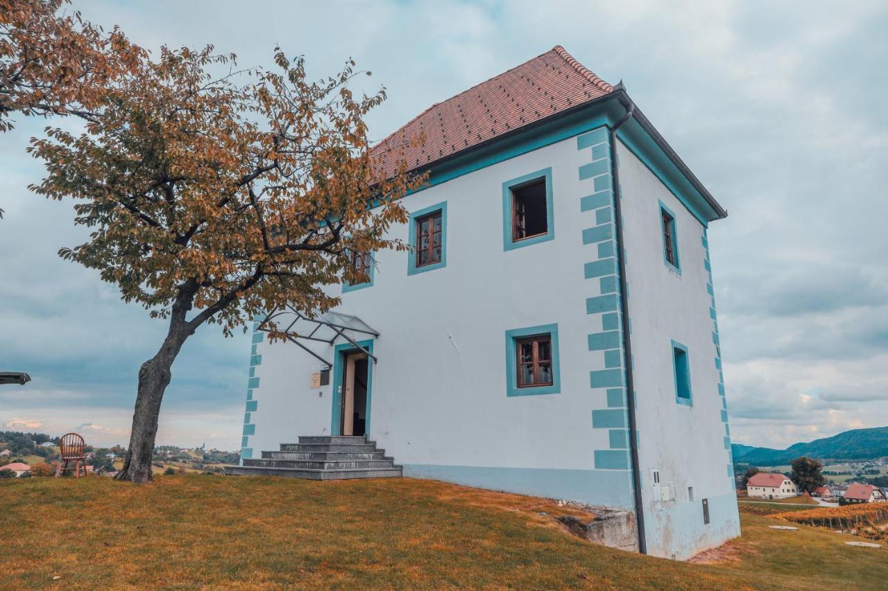 Appartamento Wine Grower'S Mansion Zlati Gric Slovenske Konjice Esterno foto