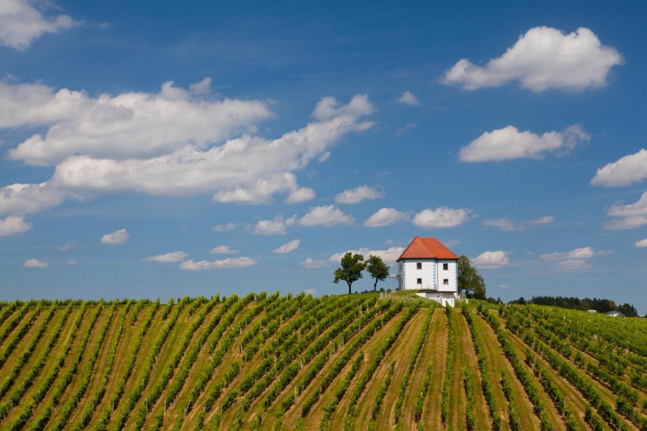 Appartamento Wine Grower'S Mansion Zlati Gric Slovenske Konjice Esterno foto